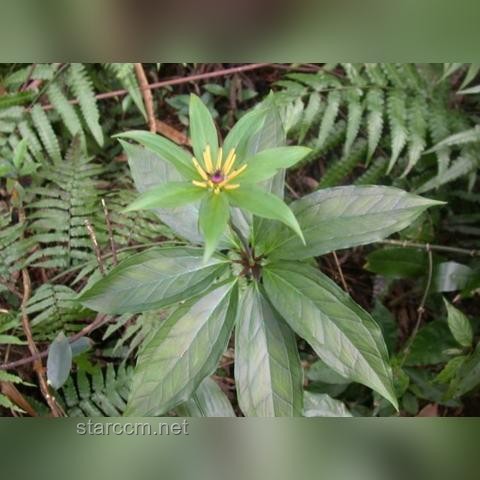 女子疑被蛇咬致死事件背后的蛇伤救治行业洞察